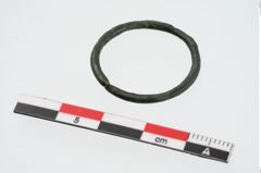 Foto von Bronzering (NHMW-PRAE-024513)